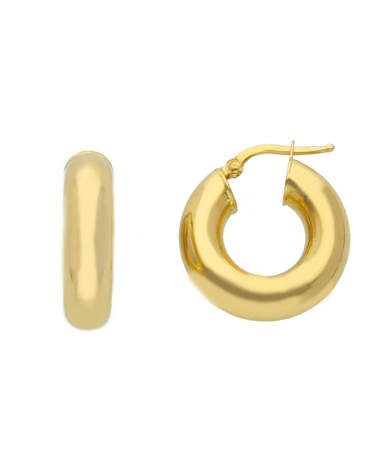 Hoop Joy earrings