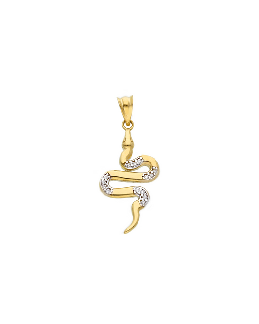 Snakey Charm